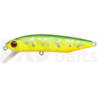 Pontoon21 Dexter Minnow